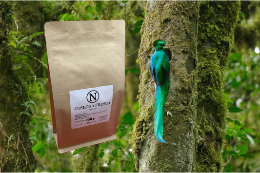 Cosecha Fresca (Mexico)