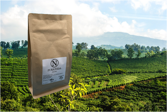 Pura Vida (Costa Rica)